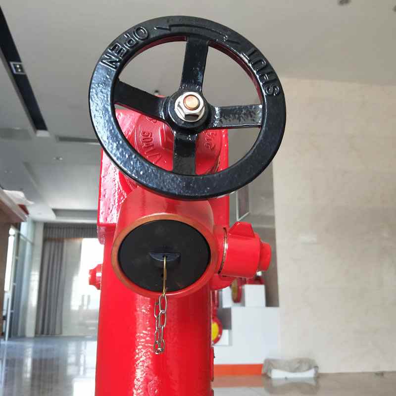 our door fire hydrant 13 our door fire hydrant 13