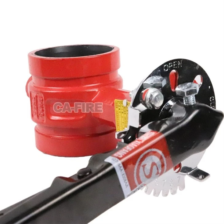 Butterfly valve (10)