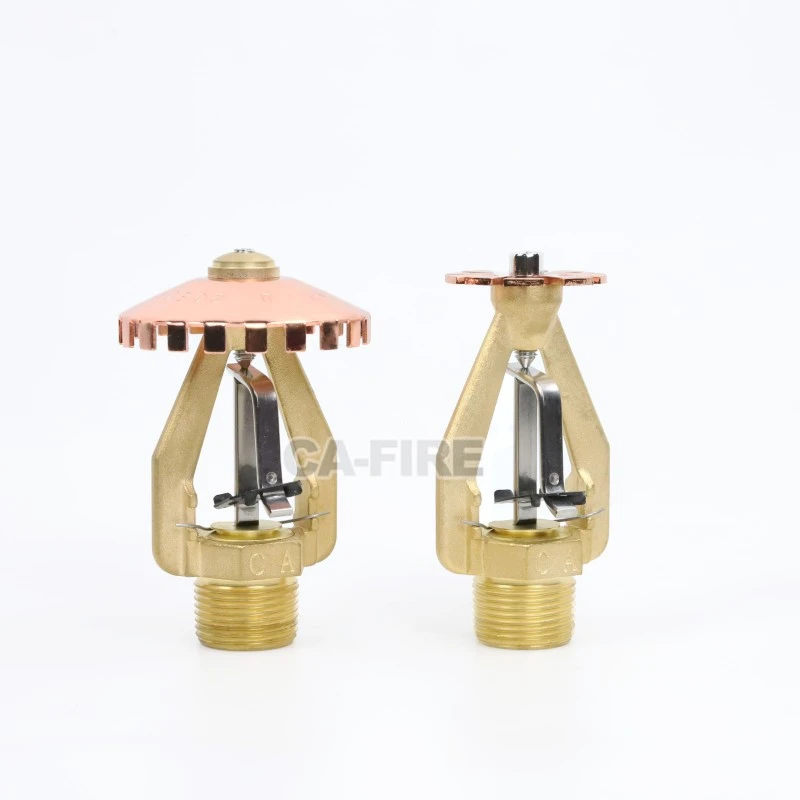 product-800-800