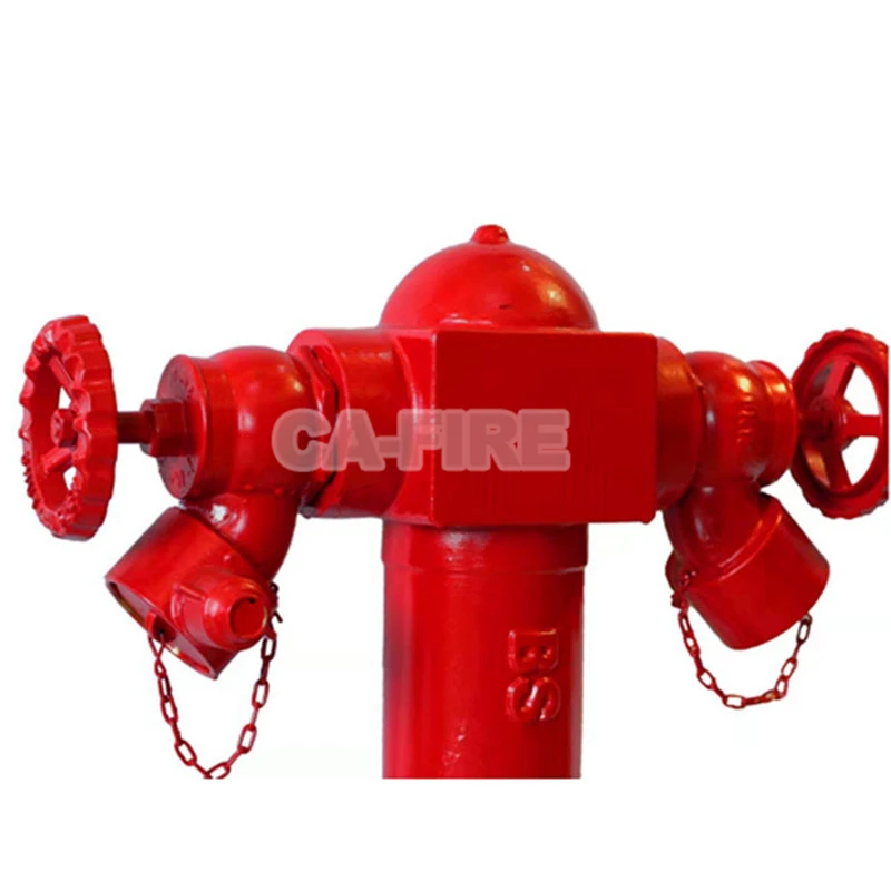 product-800-800 product-800-800
